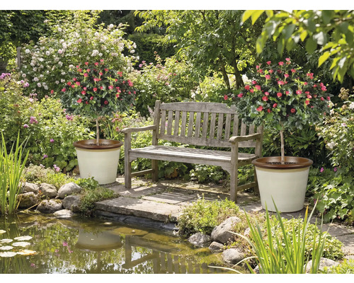 Zahrada s rybníkem, lavičkou a dvěma růžovými keři v květináčích