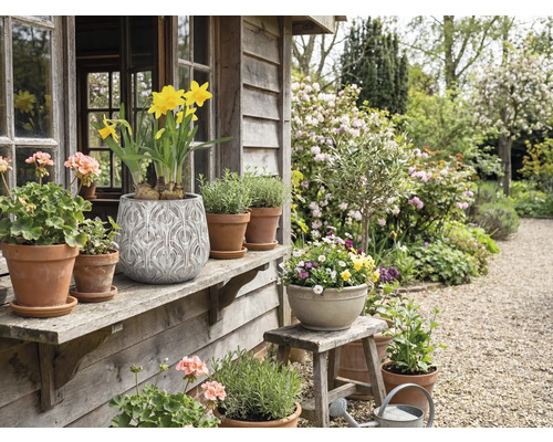 Ozdobná zahrada s hrnkovými rostlinami a květinami na dřevěné verandě