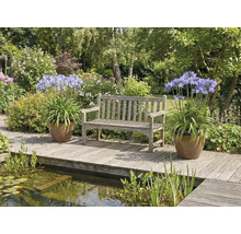 Zahradní scéna s dřevěnou lavičkou, agapanthy v květináčích a jezírkem