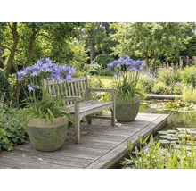 Zahradní scéna s lavičkou, jezírkem a rostlinami v květináčích