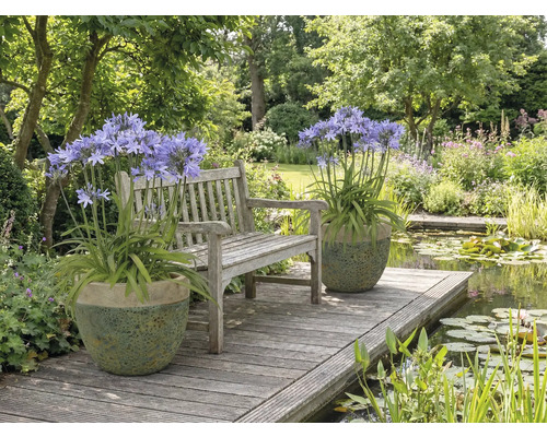 Zahradní scéna s lavičkou, jezírkem a rostlinami v květináčích