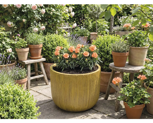 Zahrada s květinami v květináčích a truhlících.