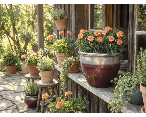 Dekorativní zahradní scéna s květinami v květináčích na dřevěných policích a stoličkách.
