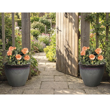 Dekorativní zahradní cesta se dvěma květináči a zahradní brankou