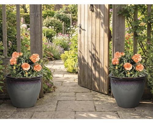 Dekorativní zahradní cesta se dvěma květináči a zahradní brankou