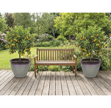 Zahrada s dřevěnou lavičkou a dvěma mandarinkovníky v květináčích na dřevěné terase.