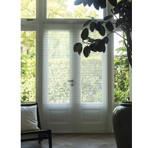 Interiér s dveřmi se skleněnou strukturou, křeslem a pokojovou rostlinou