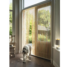 Pohled do pokoje s korálkovým závěsem a psem