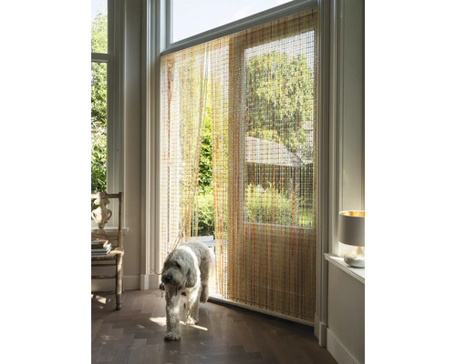 Pohled do pokoje s korálkovým závěsem a psem