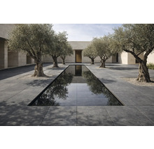 Venkovní prostor s vodní nádrží, kamennými dlaždicemi a olivovníky