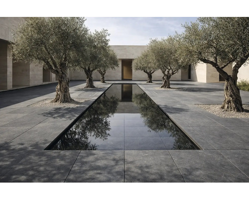 Venkovní prostor s vodní nádrží, kamennými dlaždicemi a olivovníky