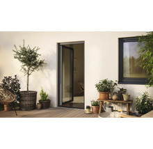 Terasa s terasovými dveřmi, oknem a rostlinami