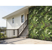 Stěna domu s vertikální zahradou a schodištěm