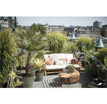 Střešní terasa s dřevěnou pohovkou, polštáři, kulatými odkládacími stolky a různými rostlinami v květináčích, jako jsou palmy a okrasné trávy.