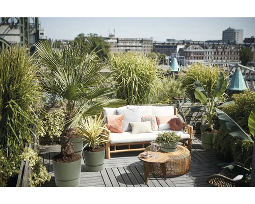 Střešní terasa s dřevěnou pohovkou, polštáři, kulatými odkládacími stolky a různými rostlinami v květináčích, jako jsou palmy a okrasné trávy.