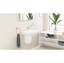 Moderní koupelna s bílým nástěnným umyvadlem s polosloupem, chromovou baterií, dávkovačem mýdla, kruhem na ručník a policí.