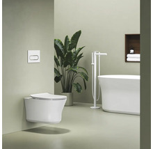 Moderní koupelna s bílým závěsným WC, ovládacím tlačítkem, volně stojící vanou s podlahovou baterií a velkou rostlinou.