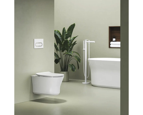 Moderní koupelna s bílým závěsným WC, ovládacím tlačítkem, volně stojící vanou s podlahovou baterií a velkou rostlinou.