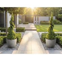 Moderní světlá zahrada s kamennou cestou, spirálovitě tvarovanými dřevinami v kulatých květináčích, dřevěnou terasou a trávníkem.