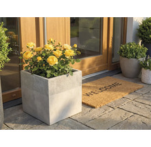 Čtvercový květináč v betonovém vzhledu se žlutými růžemi u vchodu do domu vedle rohožky Welcome na kamenné dlažbě.