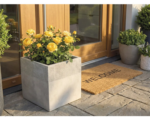 Čtvercový květináč v betonovém vzhledu se žlutými růžemi u vchodu do domu vedle rohožky Welcome na kamenné dlažbě.