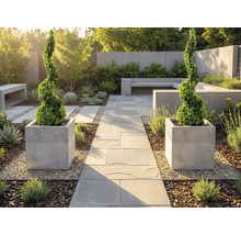 Moderní, světlá zahrada s kamennou cestou, dvěma spirálovitými buxusy v hranatých květináčích, betonovými lavicemi a štěrkem.