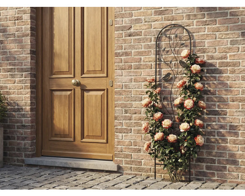 Kovová mříž na popínavé rostliny s motivem ptáků a listů, s pnoucími růžemi u cihlové stěny vedle dřevěných dveří.