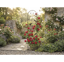 Černá kovová mříž s motivy ptáků a listů, s červenými pnoucími růžemi v prosluněné zahradě s kamennou cestou.