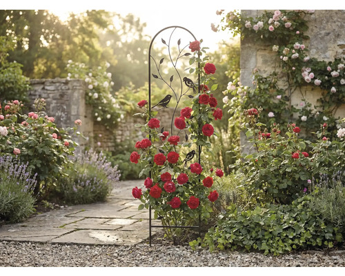 Černá kovová mříž s motivy ptáků a listů, s červenými pnoucími růžemi v prosluněné zahradě s kamennou cestou.