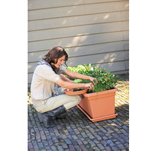 Žena sklízí bylinky v obdélníkovém truhlíku na dlážděné terase před dřevěnou stěnou.