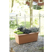 Obdélníkový plastový truhlík v terakotové barvě na terase, osázený bylinkami a salátem před dekorativním kovovým plotem.