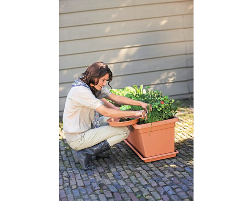 Žena sklízí bylinky a zeleninu z obdélníkového terakotového truhlíku na dlážděné terase.