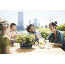 Tmavě šedá miska na rostliny s podmiskou na dřevěném stole, v pozadí přátelé na slunné střešní terase s výhledem na město.