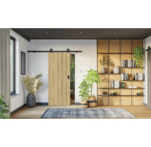 Moderní posuvné dveře v dekoru dřeva s černým kolejnicovým systémem ve světlém pokoji s policovým dílem a pokojovými rostlinami.