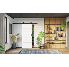 Moderní bílé posuvné dveře s černými horizontálními liniemi ve světlém obývacím pokoji s dřevěným regálem, rostlinami a kobercem.