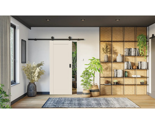 Moderní světlý pokoj s bílými posuvnými dveřmi na černé kolejnici, dřevěným regálem, pokojovými rostlinami a vzorovaným kobercem na dřevěné podlaze.