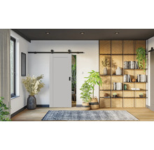 Světle šedé posuvné dveře s černým kolejnicovým systémem v moderním pokoji s dřevěnou podlahou, rostlinami a dekorativním regálem.