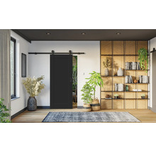 Moderní obývací pokoj s černými posuvnými dveřmi, dřevěnými policemi, pokojovými rostlinami a vzorovaným kobercem na světlé dřevěné podlaze.