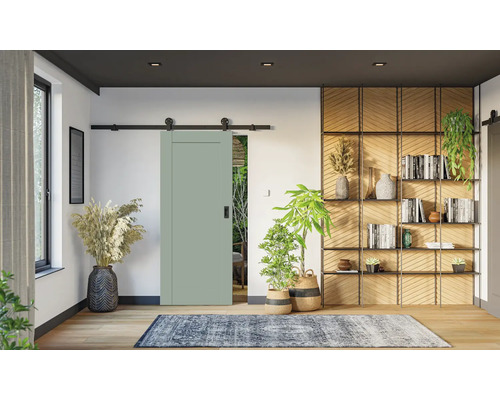 Šalvějově zelené posuvné dveře s černou kolejnicí v moderním obývacím pokoji s dřevěnými policemi, pokojovými rostlinami a vzorovaným kobercem.