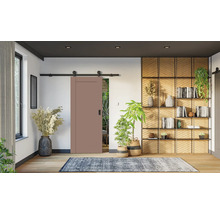 Moderní interiér se starorůžovými posuvnými dveřmi na černé kolejnici. Světlá dřevěná podlaha, modrý koberec, pokojové rostliny a regál.