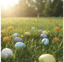 Barevná velikonoční vajíčka rozprostřená na slunné zelené louce s malými květy.