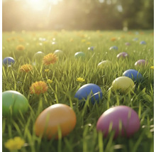 Barevná velikonoční vajíčka v trávě na louce se žlutými květy za jasného světla.