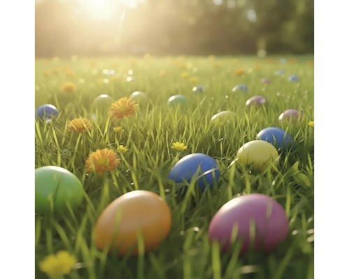 Barevná velikonoční vajíčka v trávě na louce se žlutými květy za jasného světla.