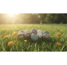 Dekorativní velikonoční vajíčka s různými vzory jako květiny a tečky leží na prosluněné louce s trávou a květinami.