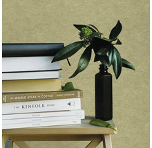 Béžová strukturovaná tapeta za stosem knih a černou vázou se zelenou rostlinou na dřevěné stoličce.