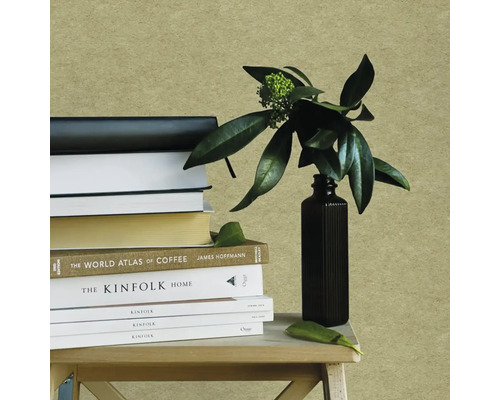 Béžová strukturovaná tapeta za stosem knih a černou vázou se zelenou rostlinou na dřevěné stoličce.