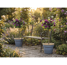 Kovová zahradní lavička s ozdobnými detaily a dvěma stromkovými růžemi v květináčích na slunné kamenné terase v rozkvetlé zahradě.