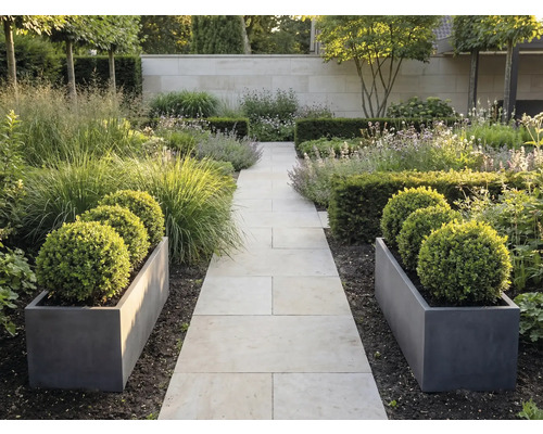 Moderní zahrada se světlou kamennou cestou, šedými truhlíky s buxusovými koulemi a okrasnými travinami u zdi.