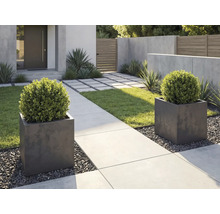 Moderní zahradní design se dvěma čtvercovými květináči, buxusy, betonovou cestou a štěrkem.