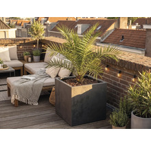 Velký čtvercový květináč v antracitové barvě s palmou na světlé, uspořádané střešní terase s dřevěnou podlahou a cihlovou zdí.